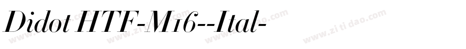 Didot HTF-M16--Ital字体转换